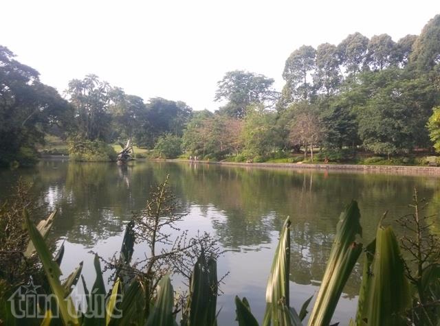 Vườn Thực vật Singapore trở thành Di sản UNESCO